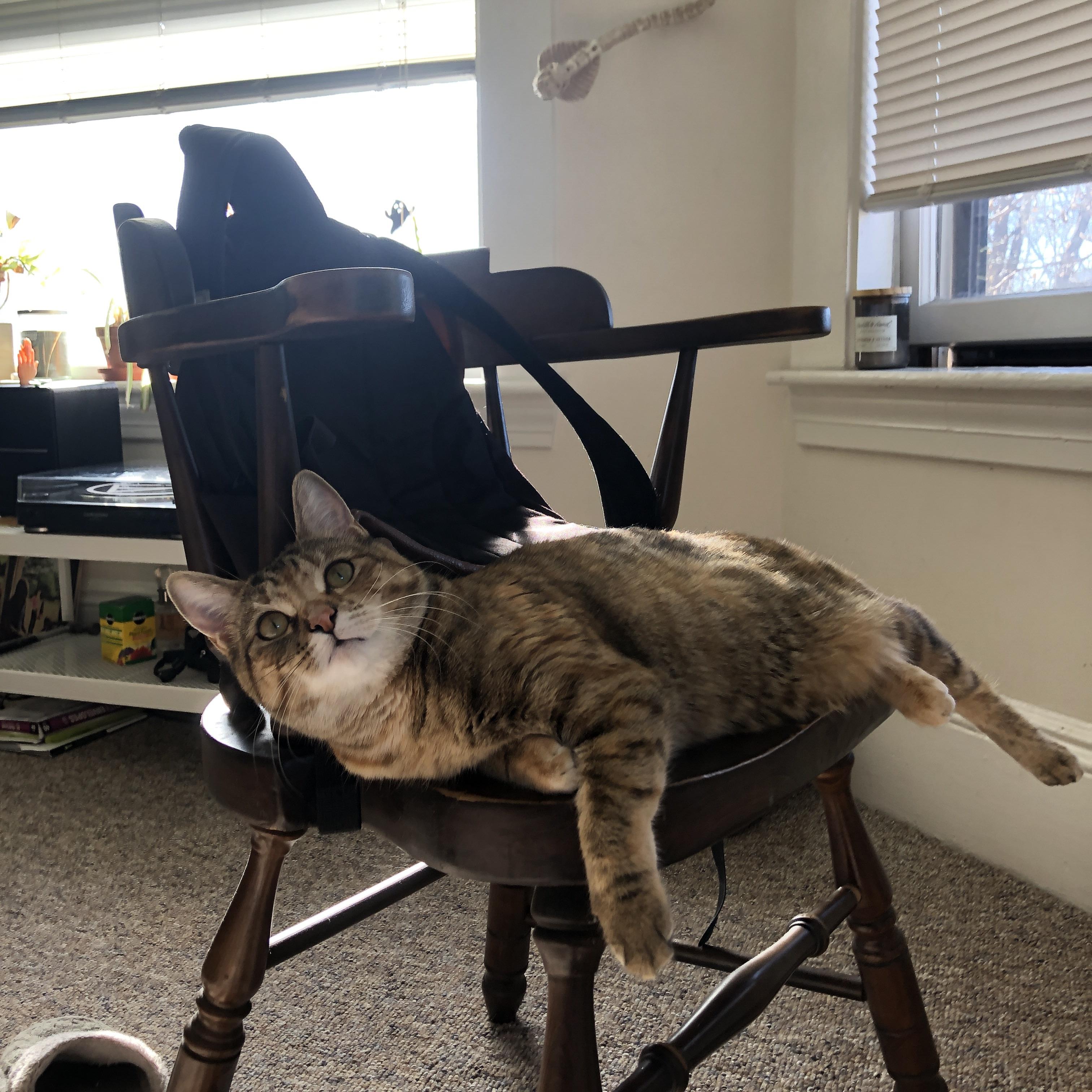 当利拉德穿越到欧冠决赛,一场关于关键球的错位叙事