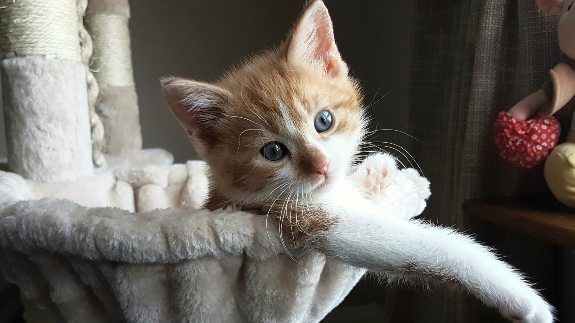 绿茵场上的布克,欧冠淘汰赛之夜的攻防交响