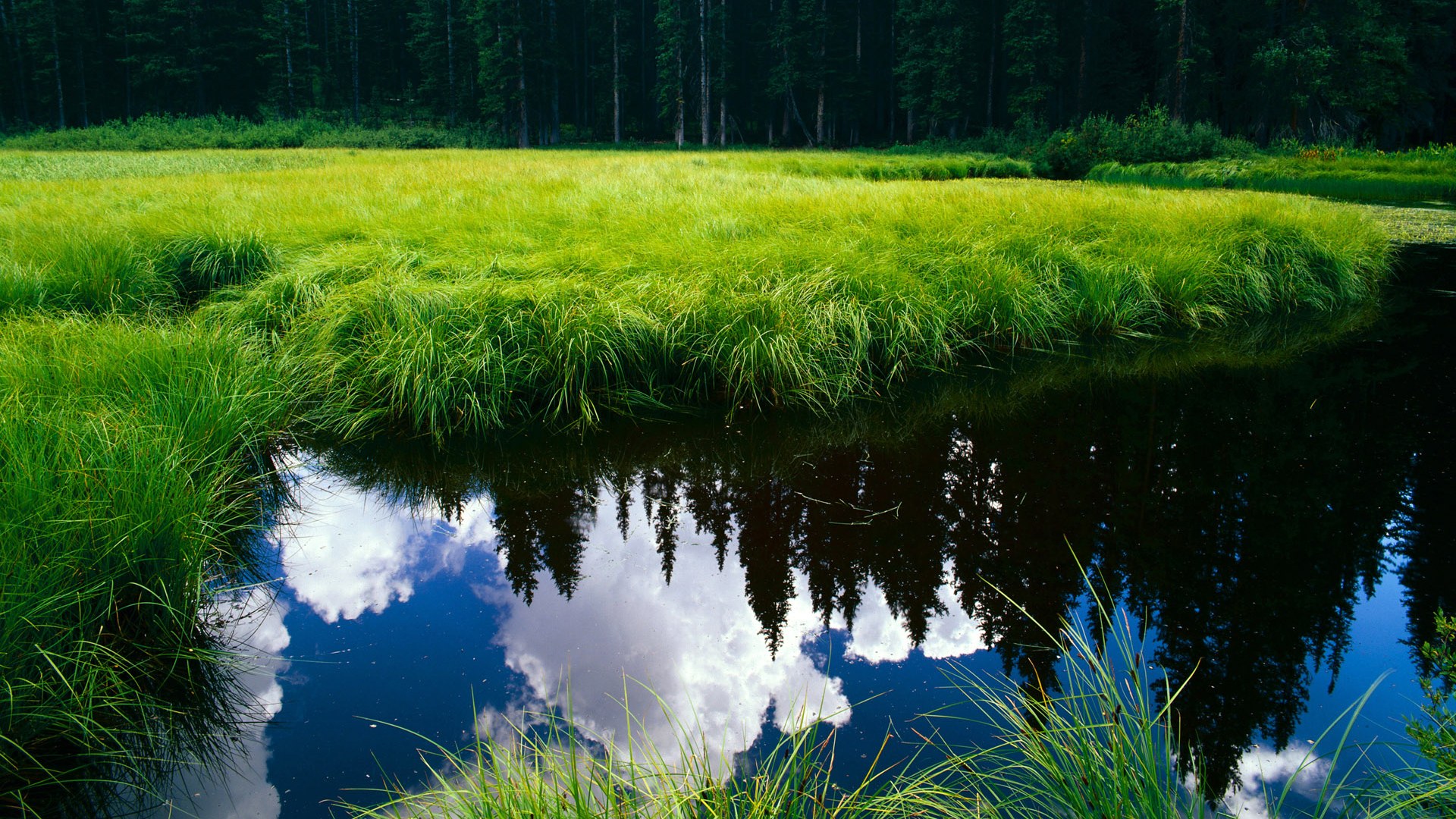 引擎声与终场哨，当F1年度争冠焦点战遇见雷霆击溃篮网