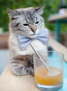 雷火电竞亚洲先驱-巨塔碾碎猛虎，戈贝尔禁区统治力助骑士击溃吉林队