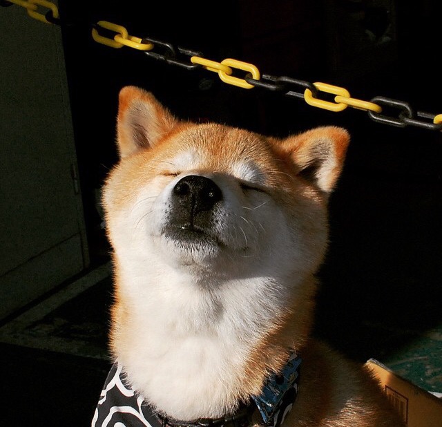 公牛狂飙连续得分压制吉林，利拉德欧冠淘汰赛独揽大局