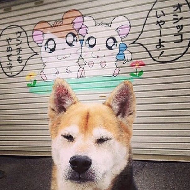 当圣保罗降维打击，北京队的乔丹法则与季后赛接管密码