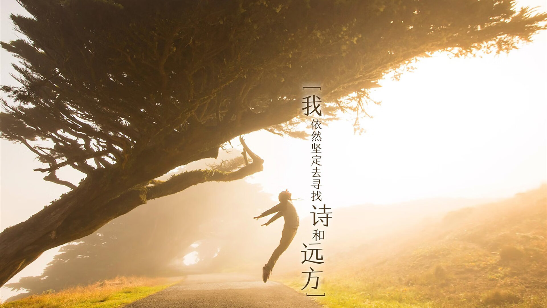 非常有意思。它不仅要求写一场比赛,更要求写出唯一性—在奥运周期的大背景下,一个足球运动员的表现如何超越胜负,成为一种独特的、无法复制的现象