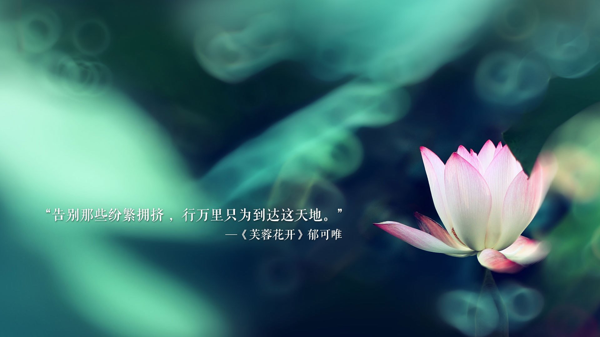 沙漠之鹰啄伤北欧冰狼,2026世界杯D组,阿联酋险胜冰岛,哈兰德独舞却难救主