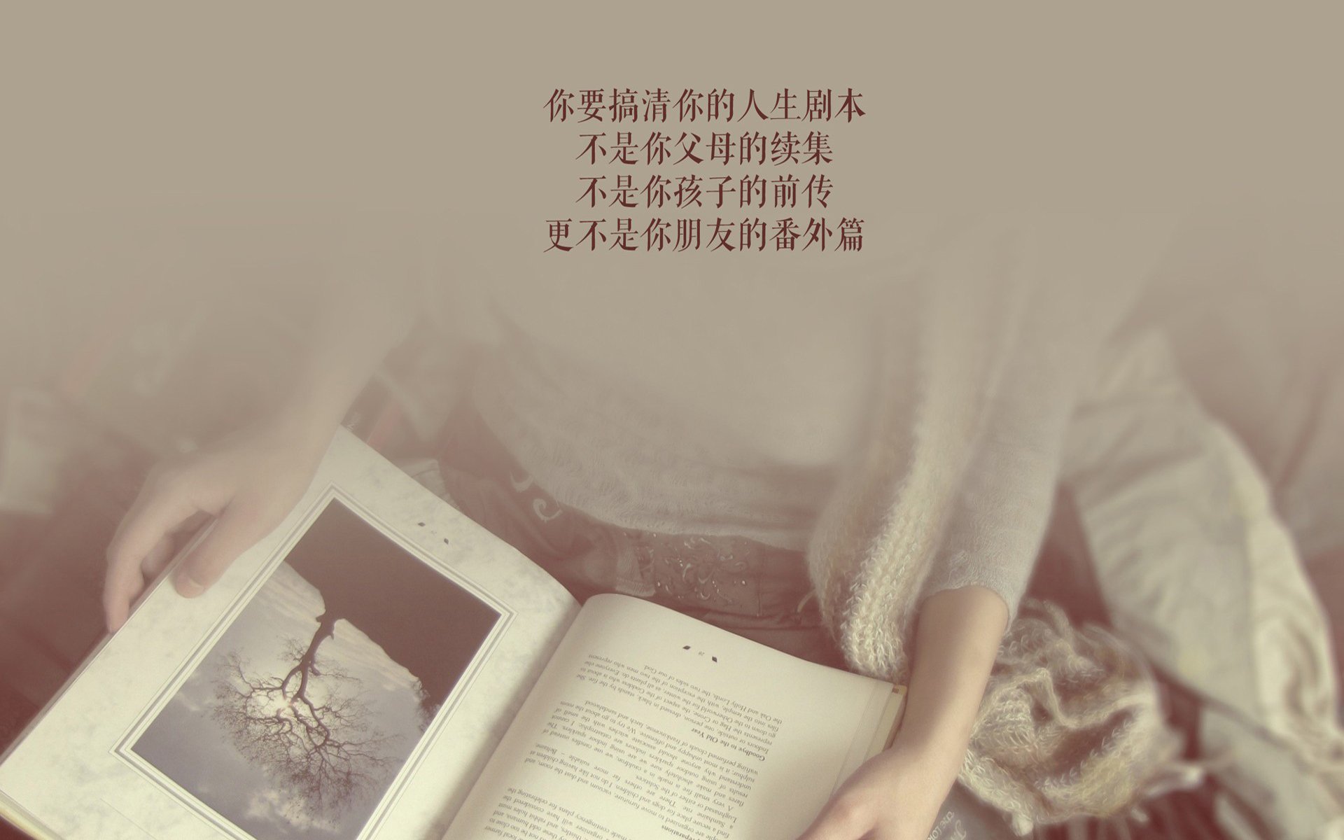 当枫叶遇上航海家，久保建英如何在2026世界杯F组改写了唯一的定义